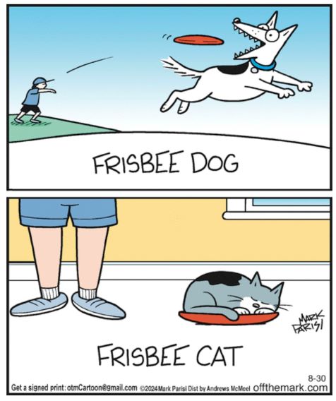 frisbee dog and cat.jpg